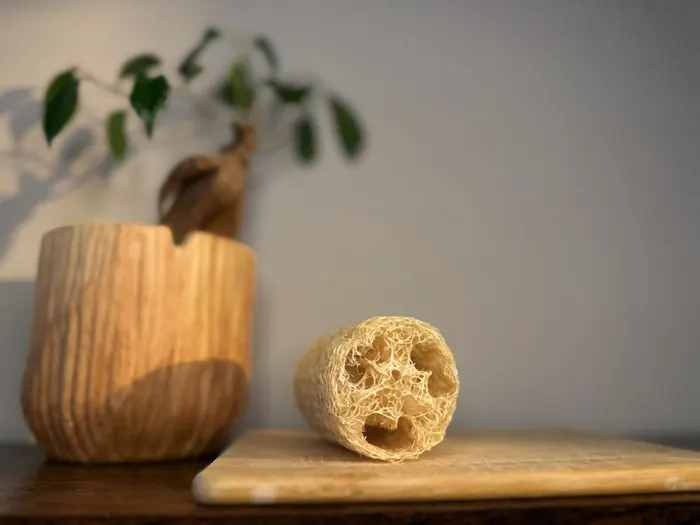 A luffa cutlet resting on its side showing the open fiber structure