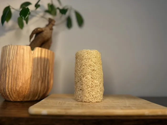 A single luffa cutlet standing on a wooden board